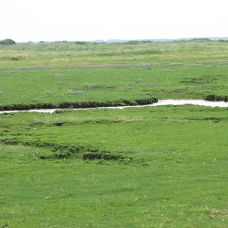 Foehrer Friesenkate Ost *