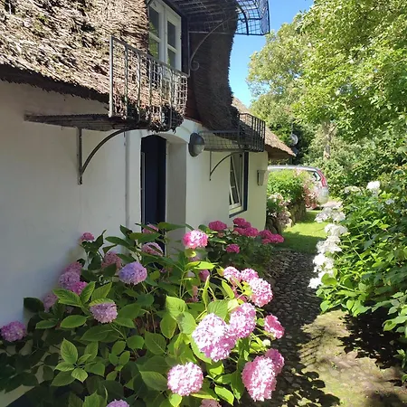 Foehrer Friesenkate Ost Hébergement de vacances *