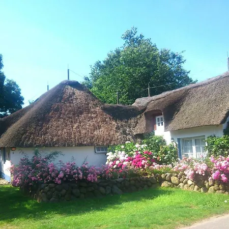 Dom wakacyjny Foehrer Friesenkate Ost Nieblum