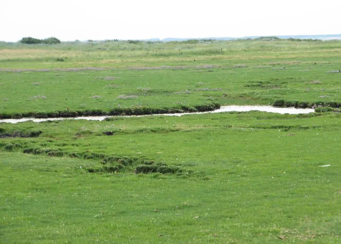 Foehrer Friesenkate Ost *